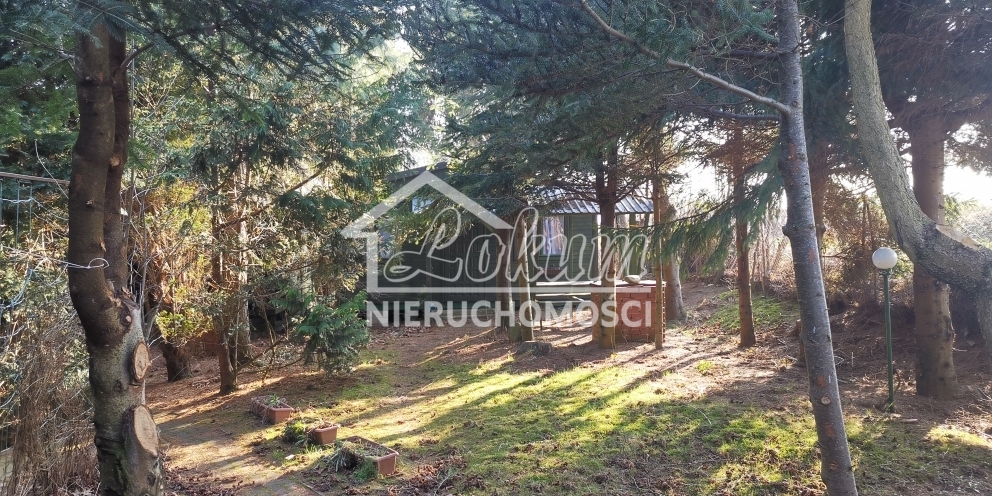 Działka budowlana 2313 m², Rusinowo - zdjęcie 2