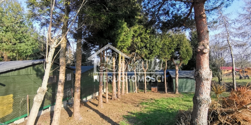 Działka budowlana 2313 m², Rusinowo - zdjęcie 11