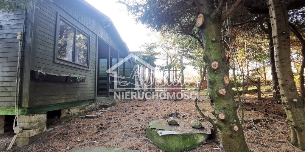 Działka budowlana 2313&nbsp;m², Rusinowo - zdjęcie 8