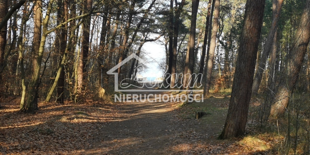 Działka budowlana 2313&nbsp;m², Rusinowo - zdjęcie 13