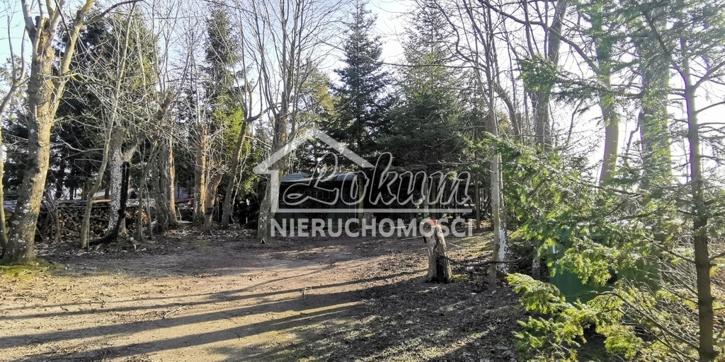 Działka budowlana 2313 m², Rusinowo - zdjęcie 10