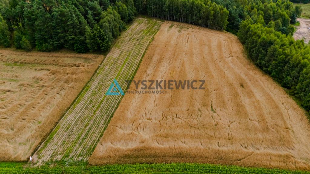 Urokliwa działka na wzniesieniu, blisko jeziora! - zdjęcie 8