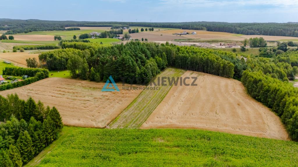 Urokliwa działka na wzniesieniu, blisko jeziora! - zdjęcie 26