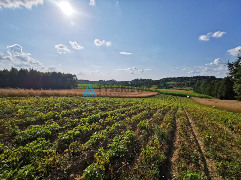 Urokliwa działka na wzniesieniu, blisko jeziora! - zdjęcie 7