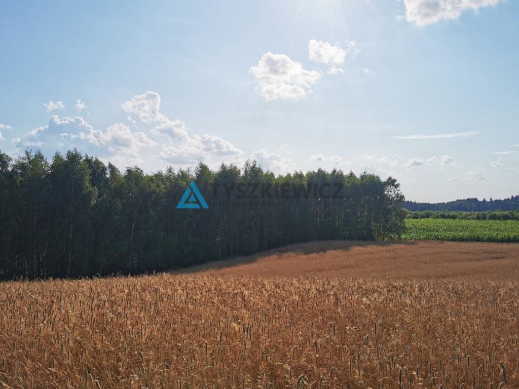 Urokliwa działka na wzniesieniu, blisko jeziora! - zdjęcie 9