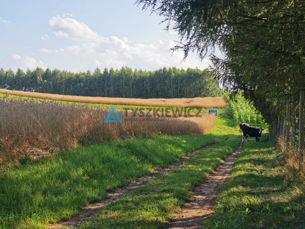 Urokliwa działka na wzniesieniu, blisko jeziora! - zdjęcie 22