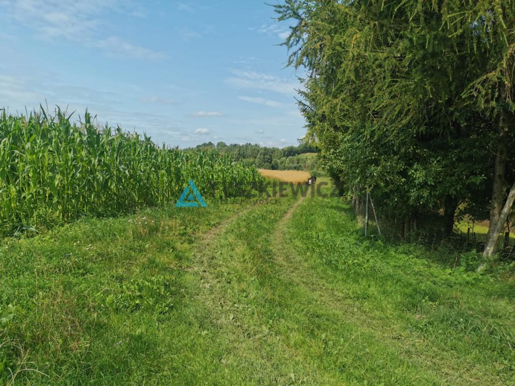 Urokliwa działka na wzniesieniu, blisko jeziora! - zdjęcie 14