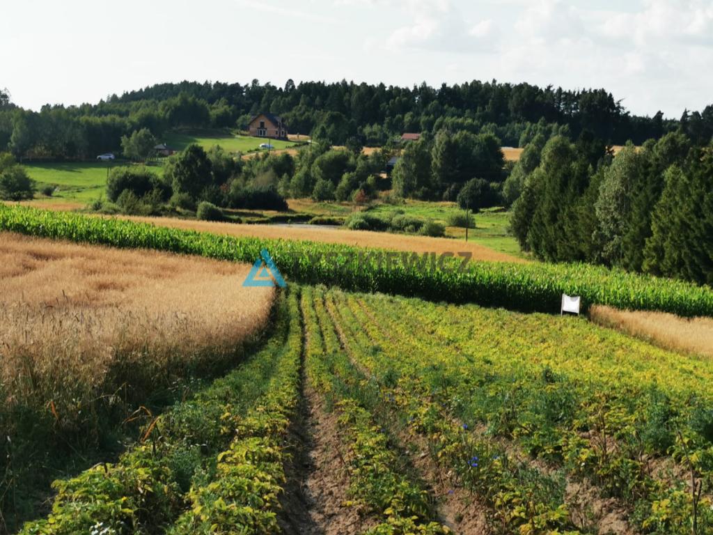Urokliwa działka na wzniesieniu, blisko jeziora! - zdjęcie 3