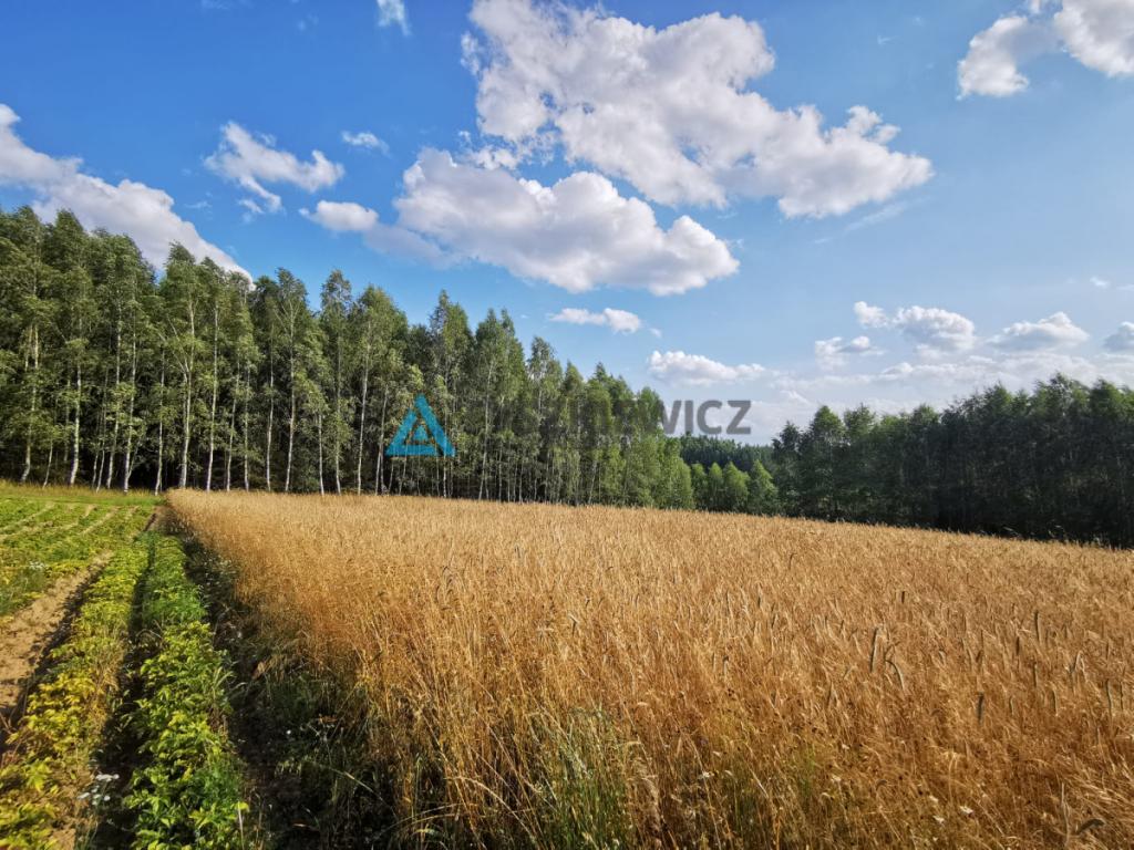 Urokliwa działka na wzniesieniu, blisko jeziora! - zdjęcie 4
