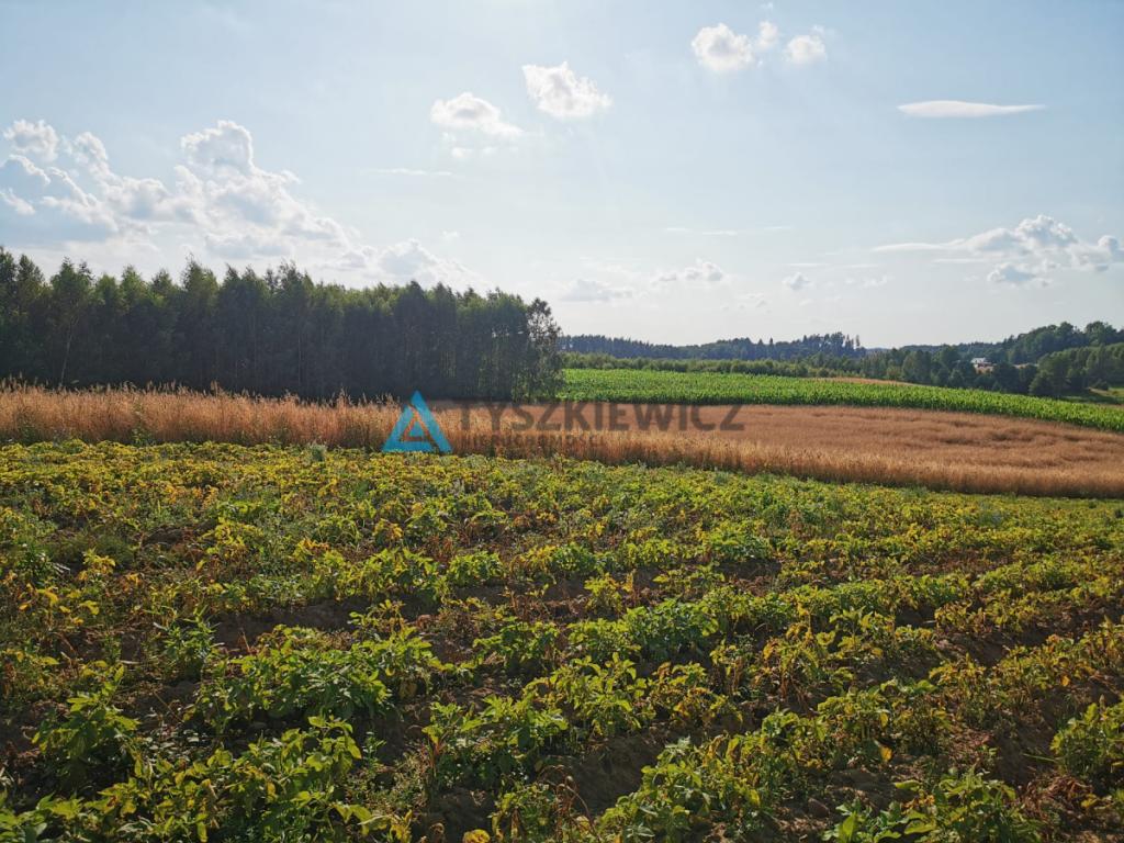 Urokliwa działka na wzniesieniu, blisko jeziora! - zdjęcie 11