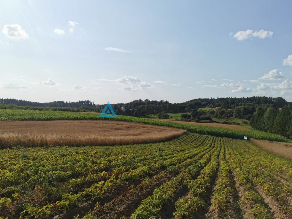 Urokliwa działka na wzniesieniu, blisko jeziora! - zdjęcie 13