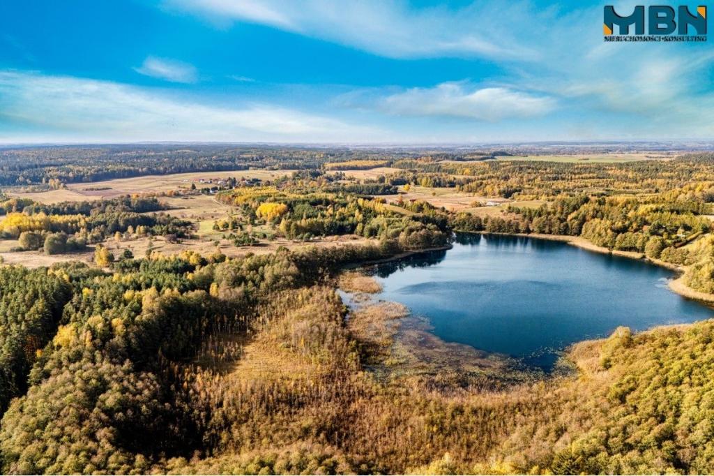 Działka rolna 3,09 ha, Danowo - zdjęcie 6