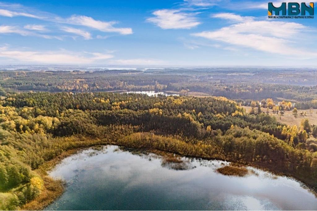 Działka rolna 3,09 ha, Danowo - zdjęcie 7