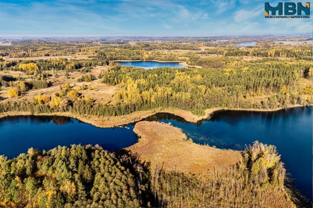 Działka rolna 3,09 ha, Danowo - zdjęcie 4