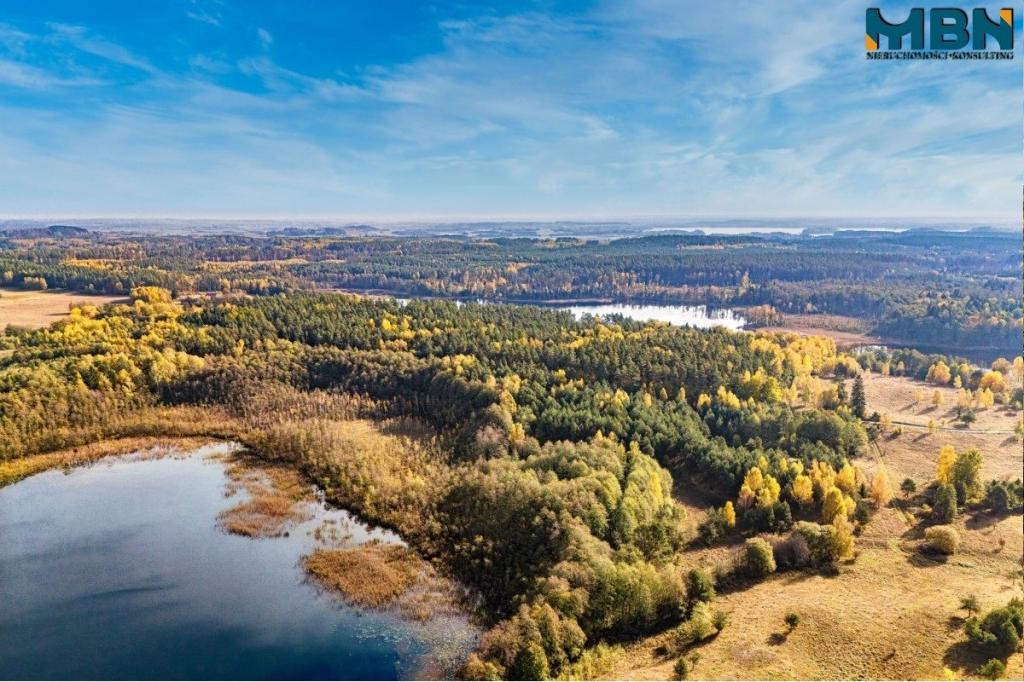 Działka rolna 3,09 ha, Danowo - zdjęcie 5