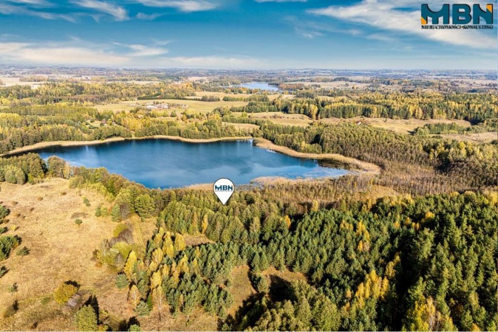 Działka rolna 3,09 ha, Danowo - zdjęcie 2