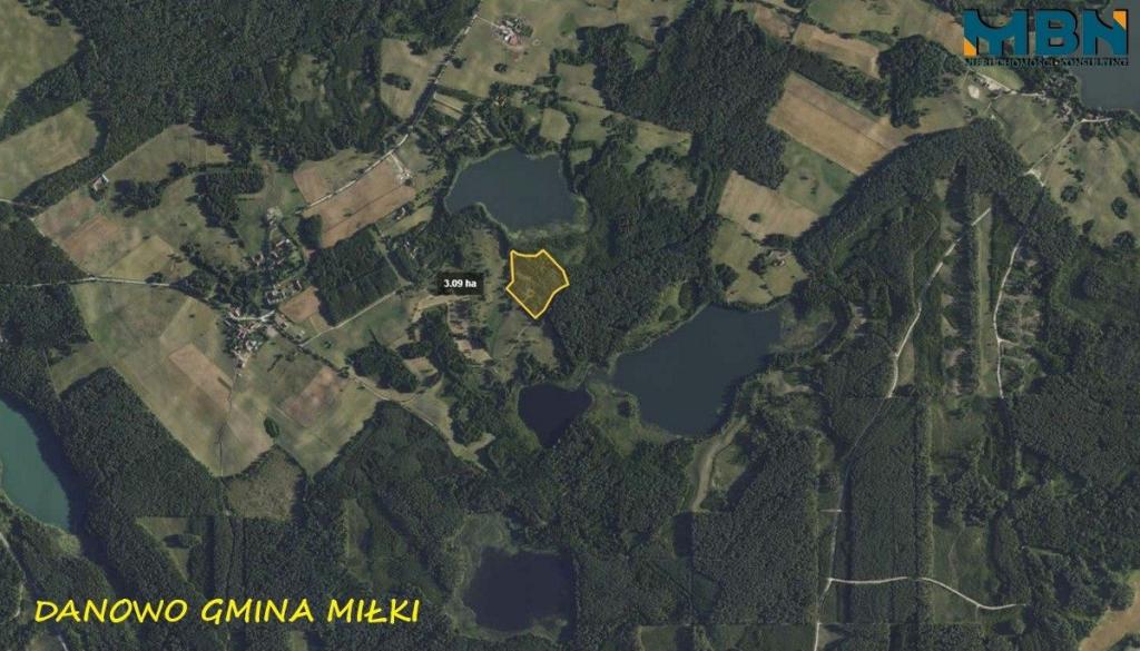 Działka rolna 3,09 ha, Danowo - zdjęcie 9
