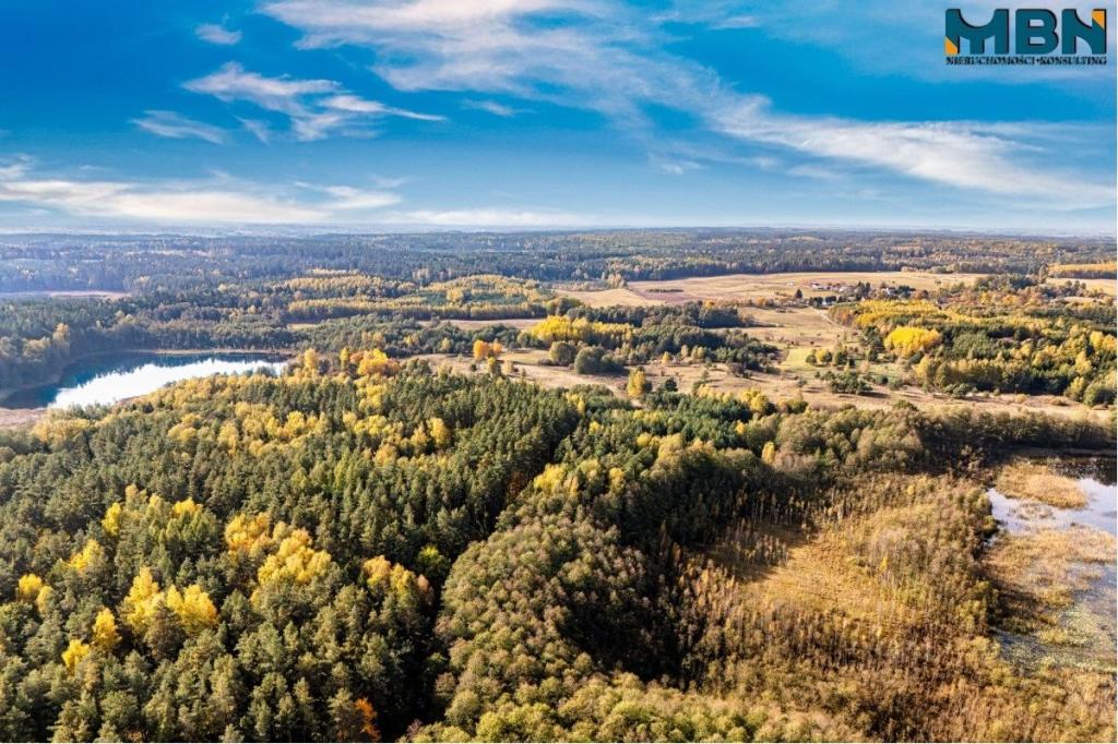 Działka rolna 3,09 ha, Danowo - zdjęcie 8