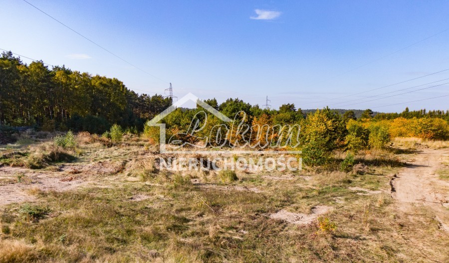 Działka rolna 6000&nbsp;m², Dargobądz - zdjęcie 4