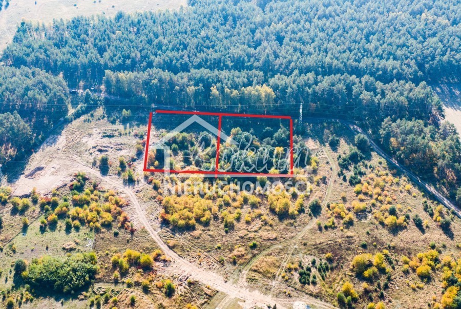 Działka rolna 6000&nbsp;m², Dargobądz - zdjęcie 3