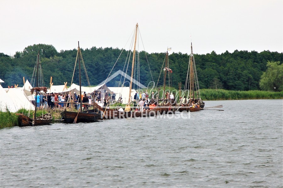 Działka rolna 3000&nbsp;m², Dargobądz - zdjęcie 6