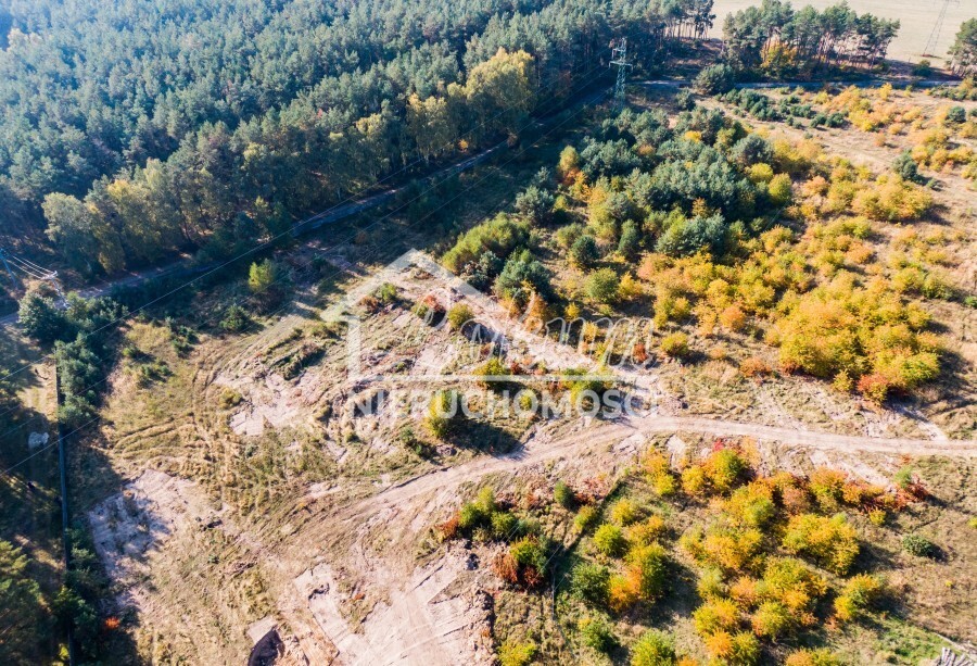 Działka rolna 3000&nbsp;m², Dargobądz - zdjęcie 1