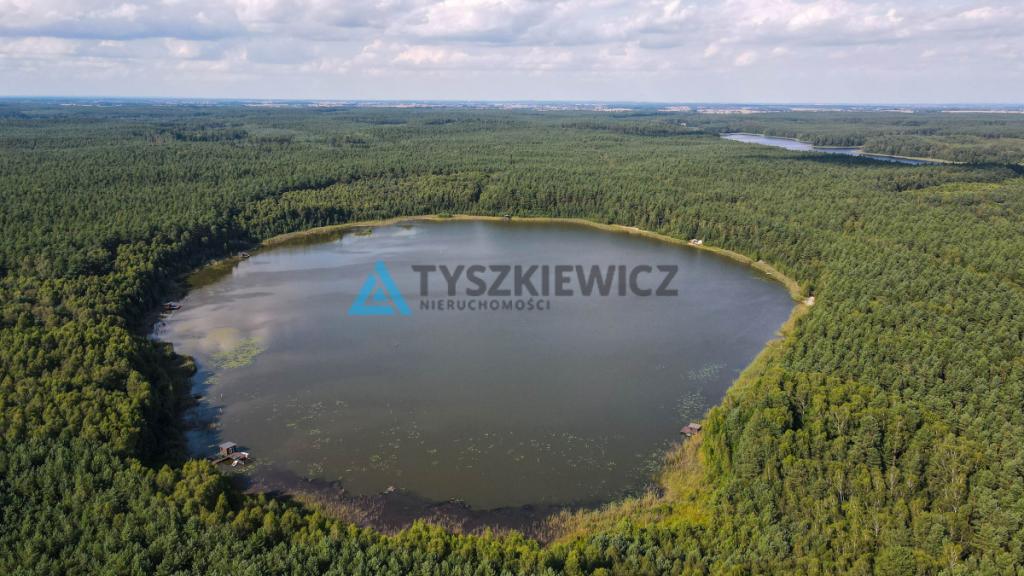 Działka rolna położona w sercu natury -Osiek - zdjęcie 23