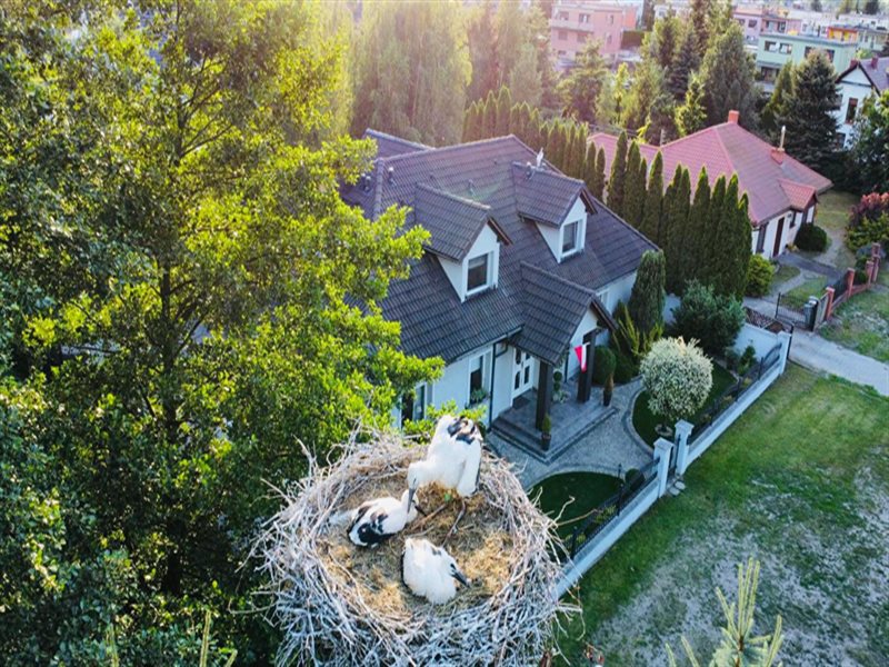 Dom 230&nbsp;m², Rydzyna - zdjęcie 7