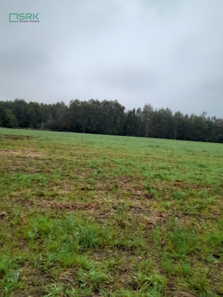 Działka inwestycyjna 15,87&nbsp;ha, Ruda Śląska, im. Władysława Jagiełły - zdjęcie 3