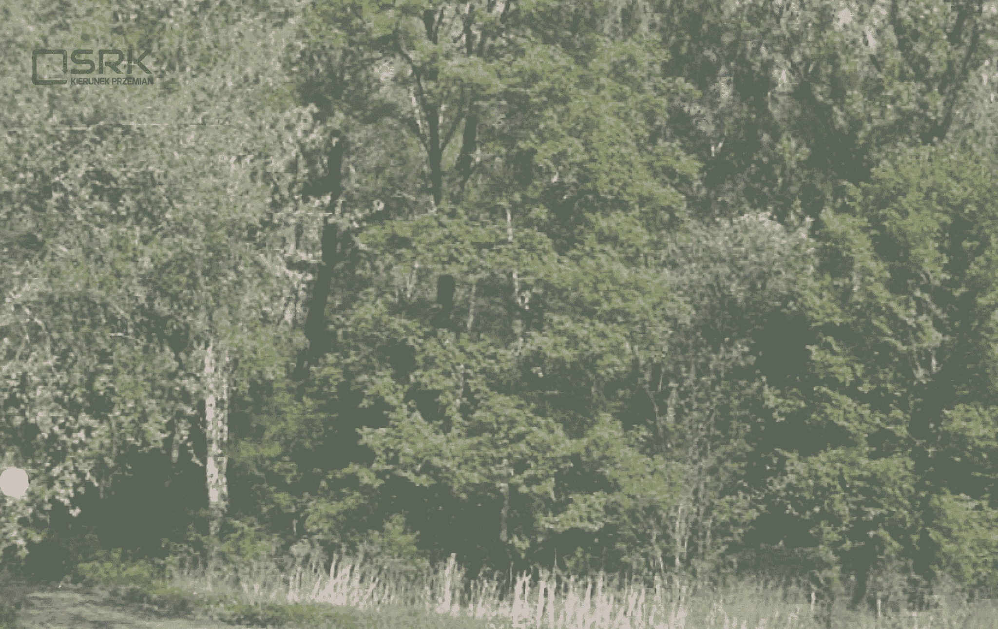Działka inwestycyjna 3732&nbsp;m², Ruda Śląska, Aleja Młyńska - zdjęcie 2