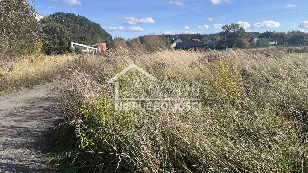 Działka budowlana 909&nbsp;m², Dobra - zdjęcie 3