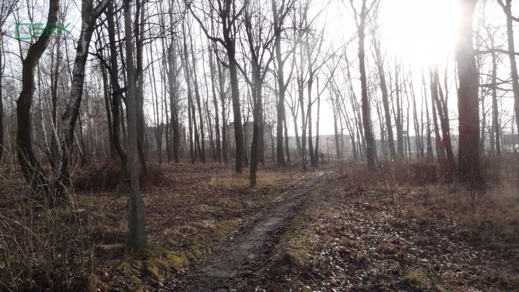 Działka inwestycyjna 2,96&nbsp;ha, Ruda Śląska, Niedurnego - zdjęcie 3