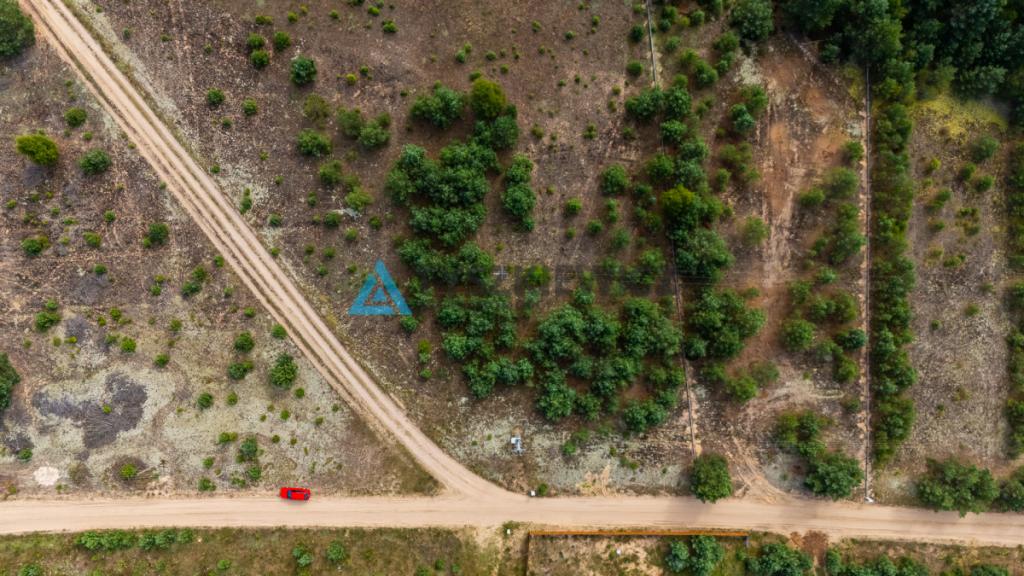 DZIAŁKA W ZBRZYCY - 3173 m² | MEDIA W DRODZE - zdjęcie 12