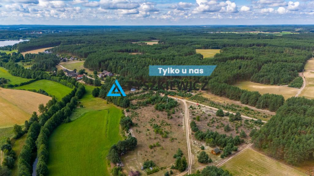 DZIAŁKA W ZBRZYCY - 3173 m² | MEDIA W DRODZE - zdjęcie 1