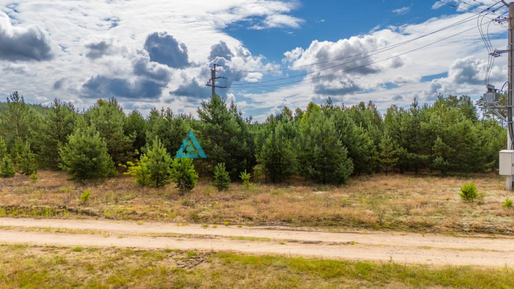 DZIAŁKA W ZBRZYCY - 3173 m² | MEDIA W DRODZE - zdjęcie 8