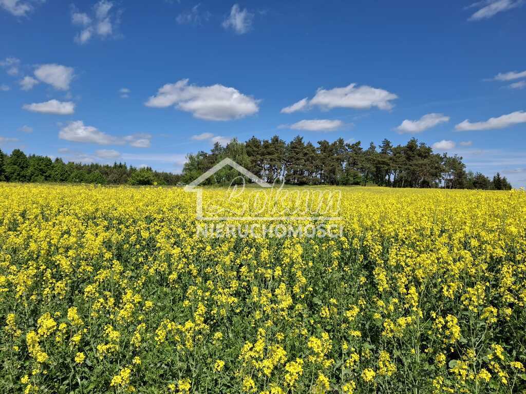 Działka rolna 9825&nbsp;m², Parsów - zdjęcie 6