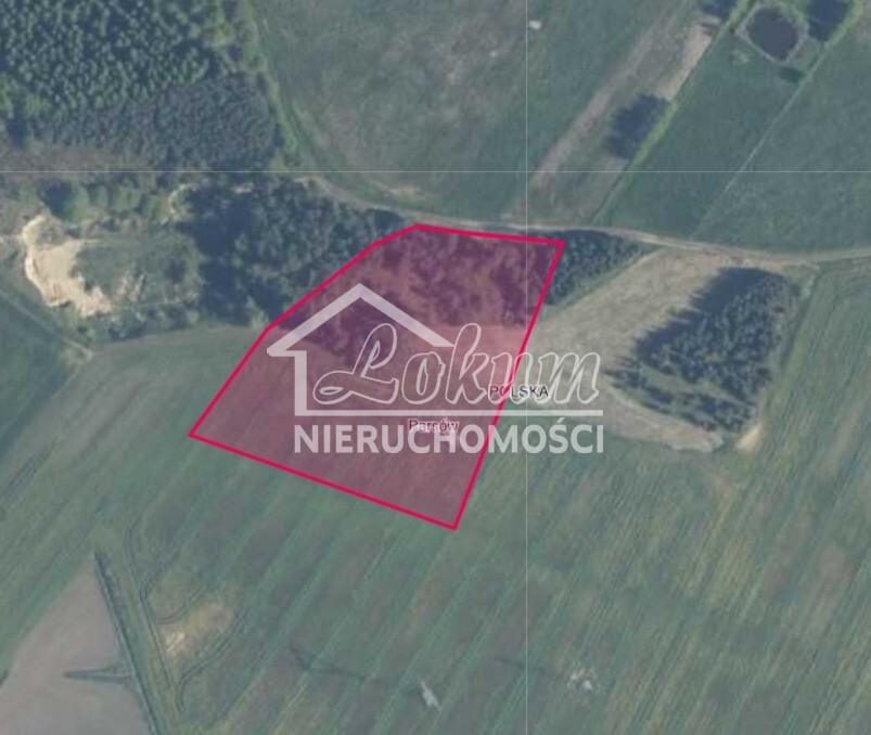 Działka rolna 9825&nbsp;m², Parsów - zdjęcie 7