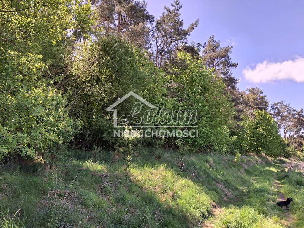 Działka rolna 9825&nbsp;m², Parsów - zdjęcie 3