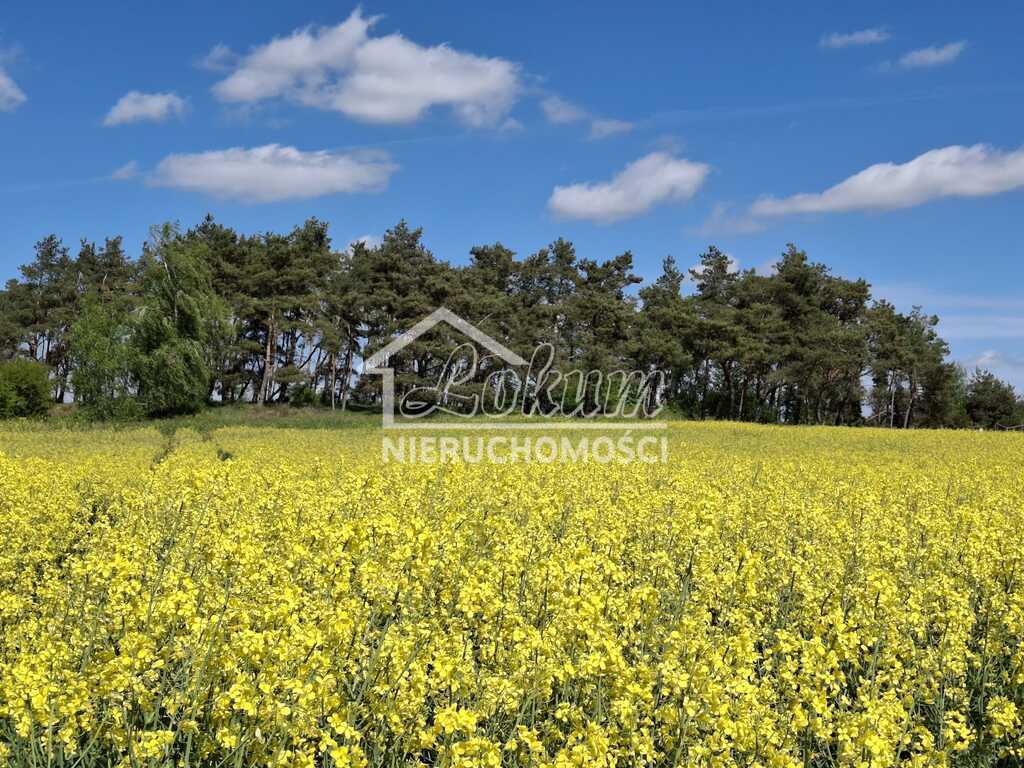 Działka rolna 9825&nbsp;m², Parsów - zdjęcie 1