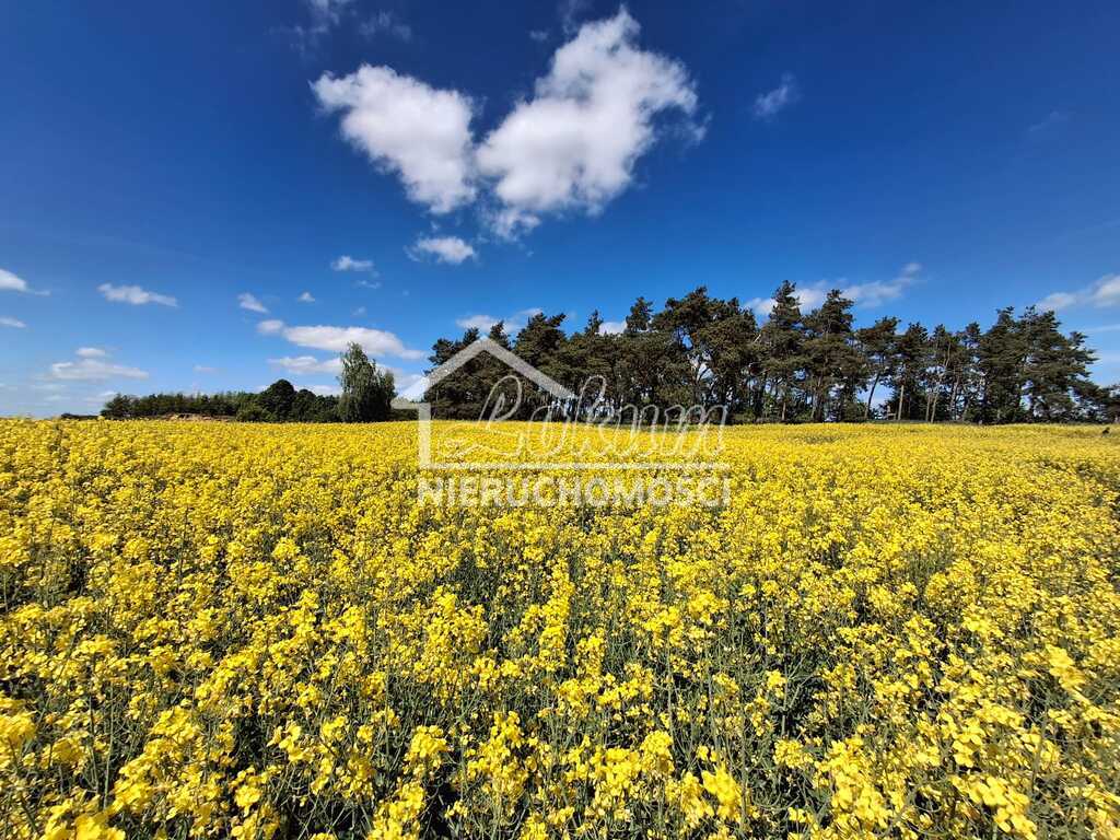 Działka rolna 9825&nbsp;m², Parsów - zdjęcie 5