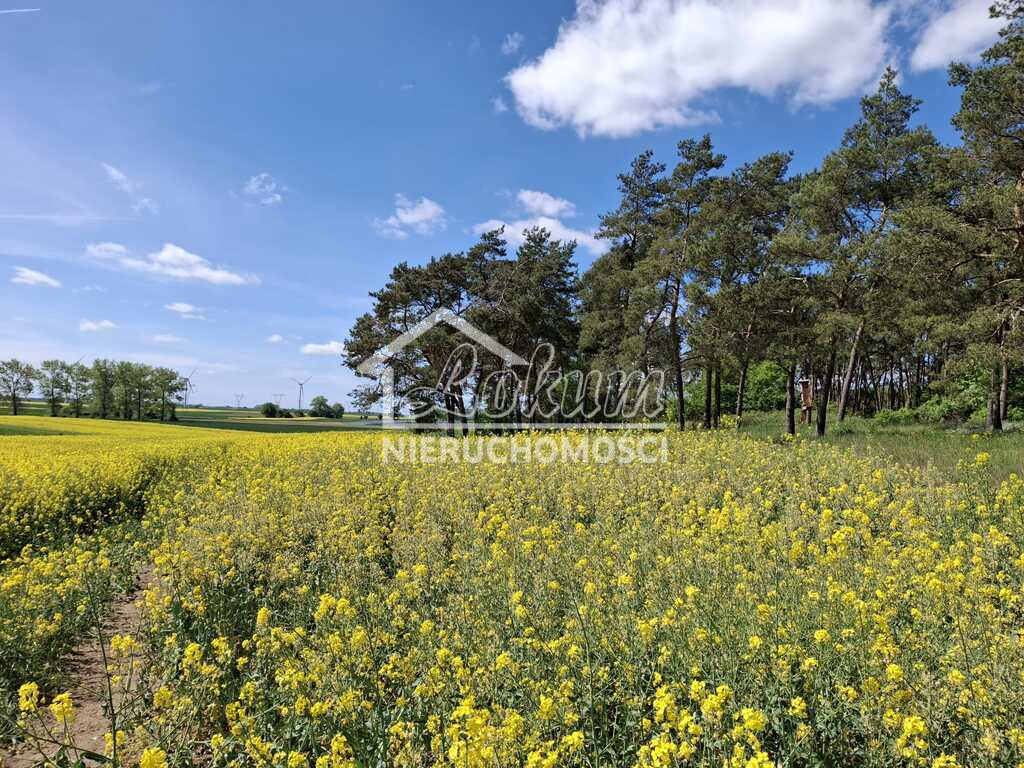 Działka rolna 9825&nbsp;m², Parsów - zdjęcie 4