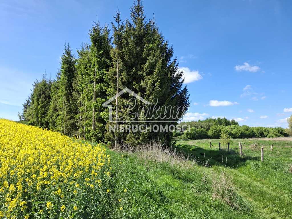 Działka rolna 9825&nbsp;m², Parsów - zdjęcie 2