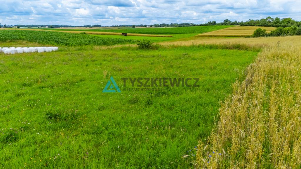 Działka 1504 m² - Łąg, gmina Czersk - przy DK22! - zdjęcie 9