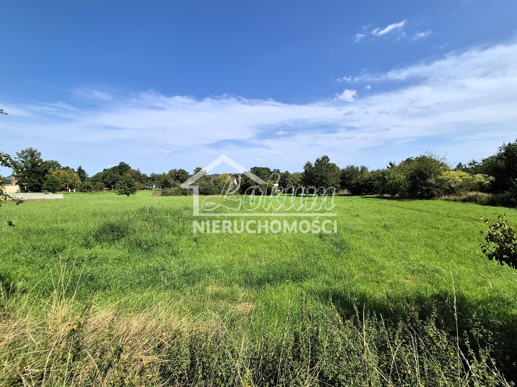 Dom 120&nbsp;m², Gogolice - zdjęcie 8