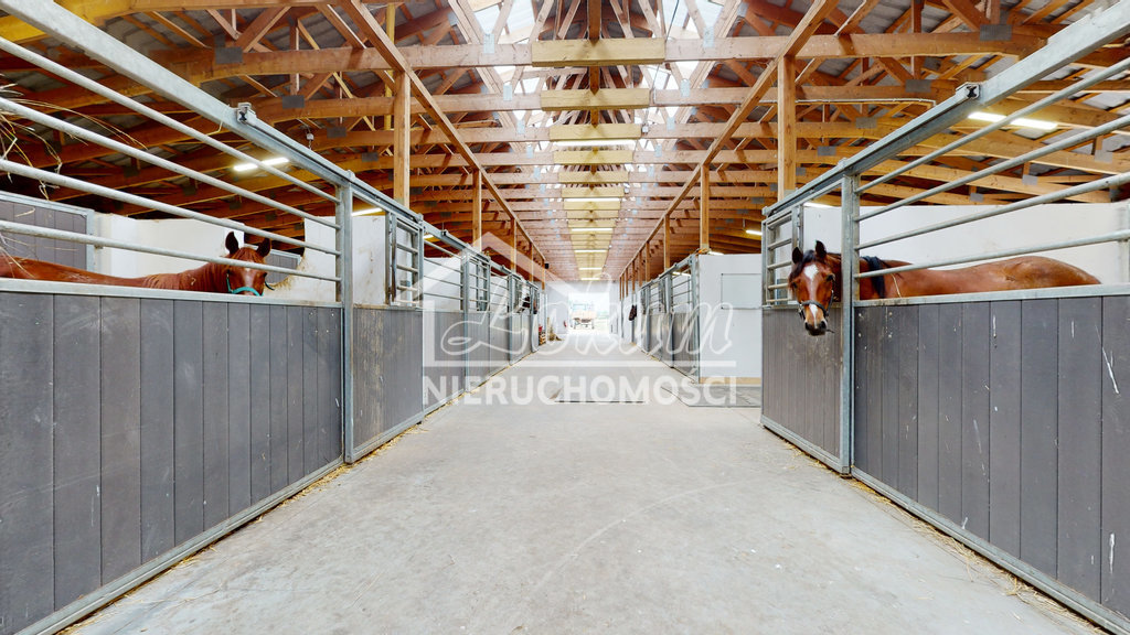 Dom 984,71&nbsp;m², Dobropole - zdjęcie 11