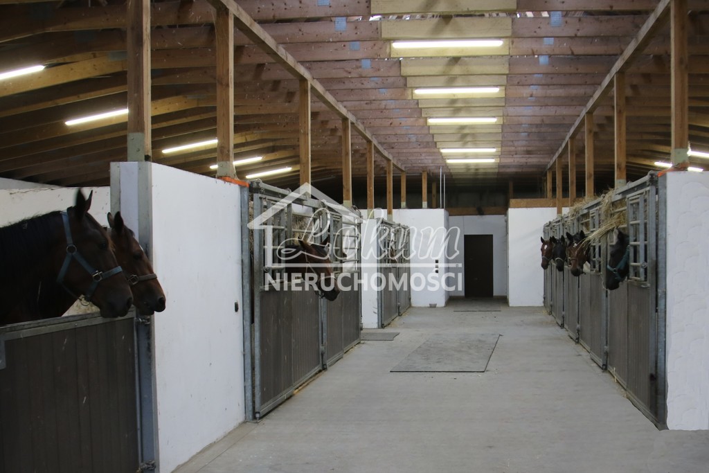 Dom 984,71&nbsp;m², Dobropole - zdjęcie 10