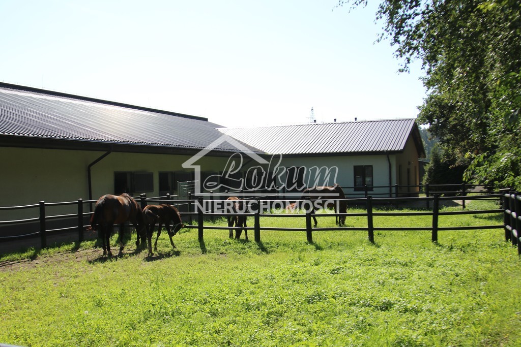 Dom 984,71&nbsp;m², Dobropole - zdjęcie 7