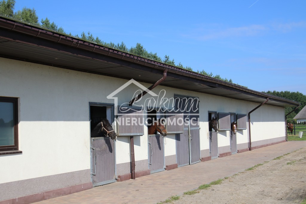 Dom 984,71&nbsp;m², Dobropole - zdjęcie 12