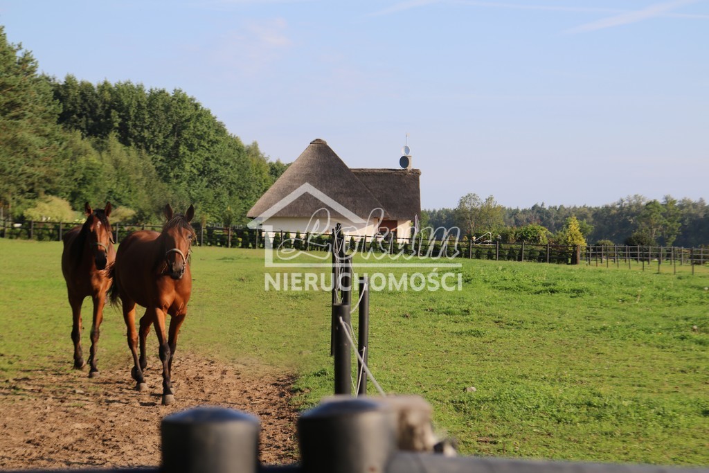 Dom 984,71&nbsp;m², Dobropole - zdjęcie 1