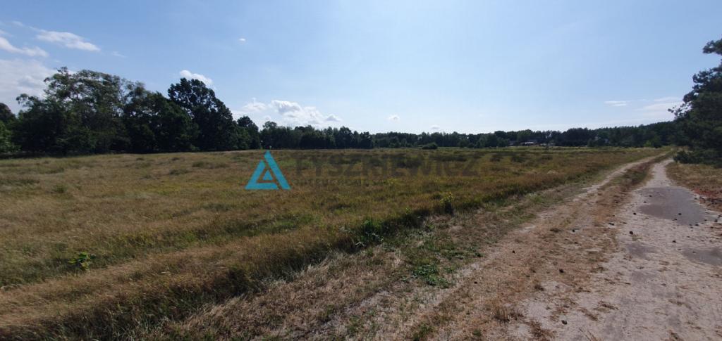 Duża działka nad morzem - zdjęcie 7